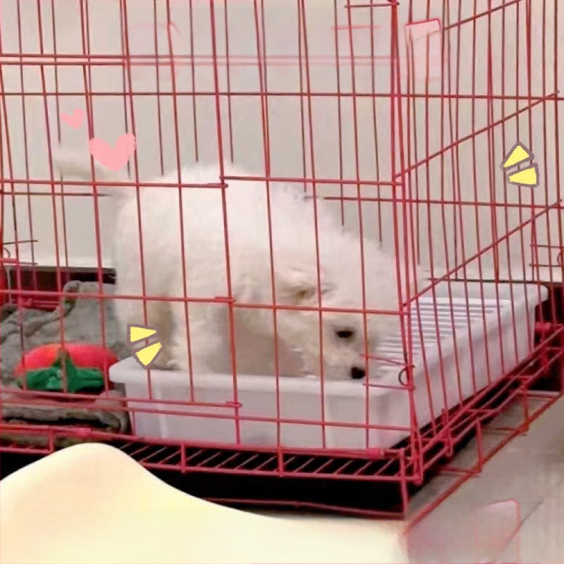 Τουαλέτα για σκύλους, γάτες και κουνέλια — ABS πλαστικό, εύκολο καθάρισμα, δεν κολλάει στα πόδια, κατάλληλη για μικρά και μεσαία σκυλιά, μάρκα Zhicheng