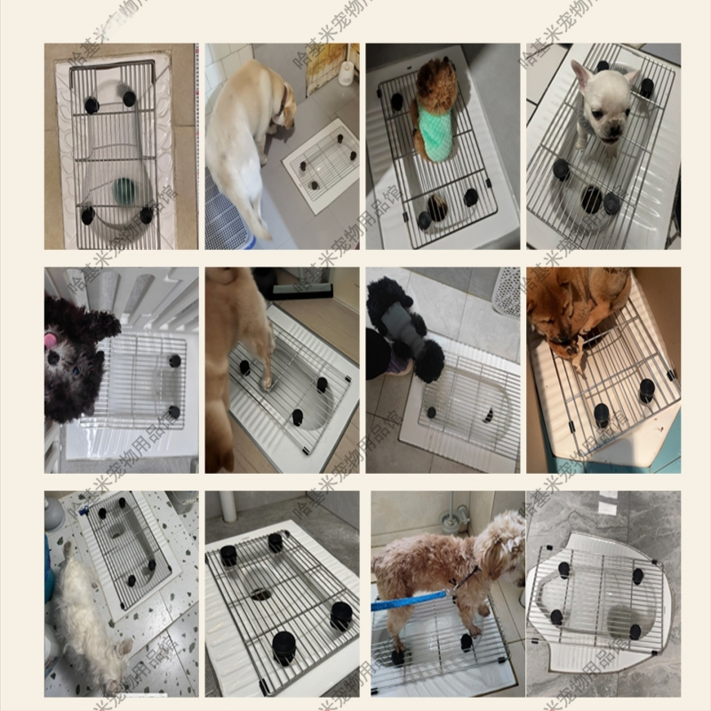 Συσκευή σταθερού σημείου αφόδευσης σκύλου με διχτυωτό από ανοξείδωτο ατσάλι, μοντέλο F97H8676TJJ8JM