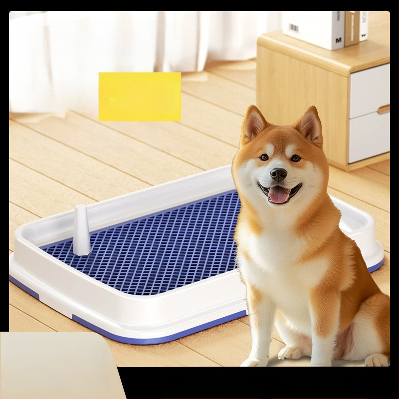 Τουαλέτα σκύλου για μικρούς σκύλους — ειδικά για Μπιχόν Φριζέ, εργαλείο εκπαίδευσης στην τουαλέτα, PP Υλικό