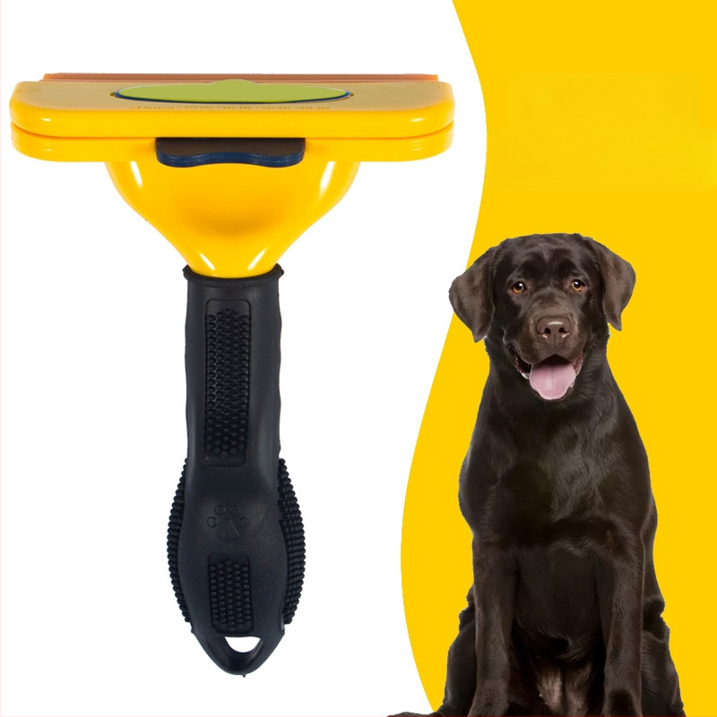 TYRONE Pieptene cu ace pentru pisici și câini — oțel inoxidabil, instrument de îngrijire a blănii, elimină păr liber