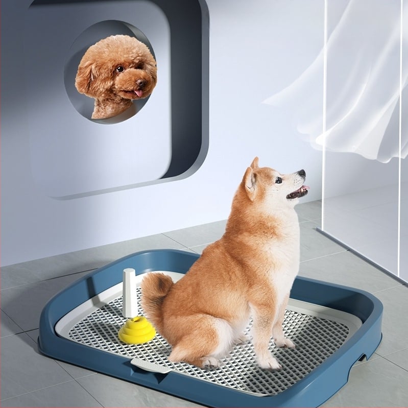 Τουαλέτα σκύλου, Zhenhun, πλαστικό, μη εισαγόμενο