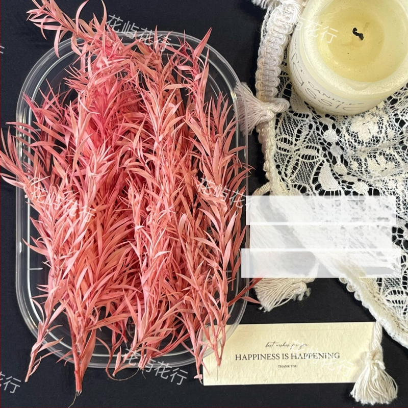 Kit DIY cu flori conservate | varietate cu mai multe straturi | Codul produsului Ali-727499540242