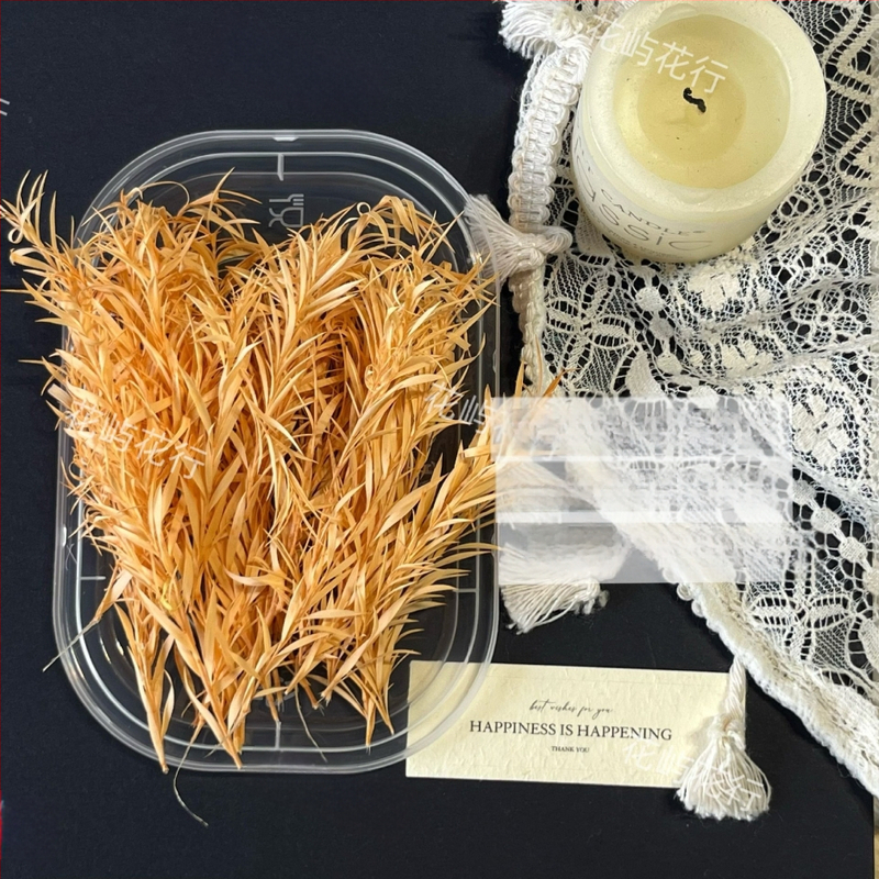 Kit DIY cu flori conservate | varietate cu mai multe straturi | Codul produsului Ali-727499540242