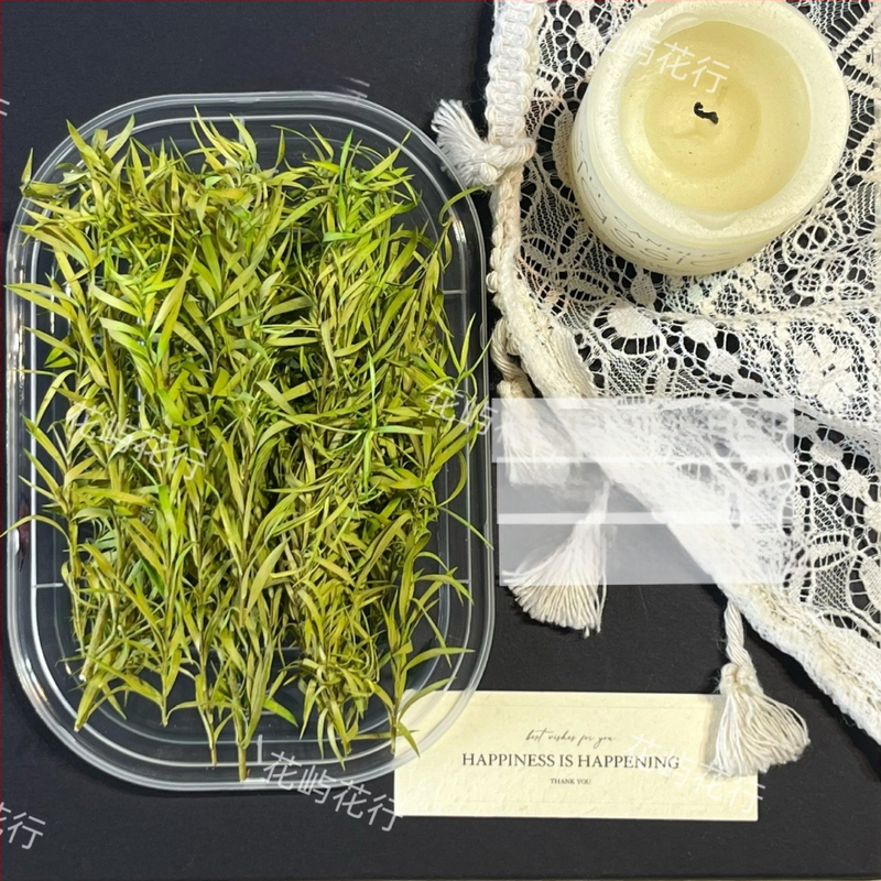 Kit DIY cu flori conservate | varietate cu mai multe straturi | Codul produsului Ali-727499540242