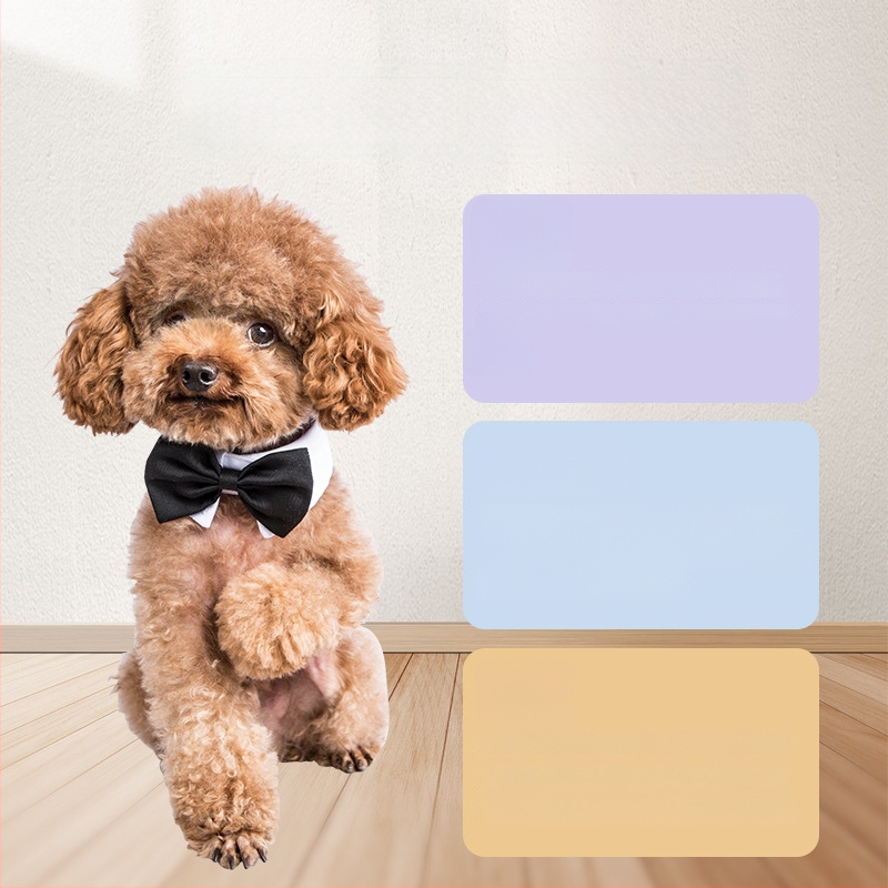 Set de foarfeci pentru îngrijirea animalelor Gutche — oțel inoxidabil, foarfeci de tunsoare pentru câini, ambalaj de 400 bucăți, marcă privată autorizată