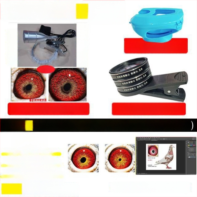 Lunetă macro pentru porumbei cu lupă pentru fotografierea ochilor păsărilor (Universal)