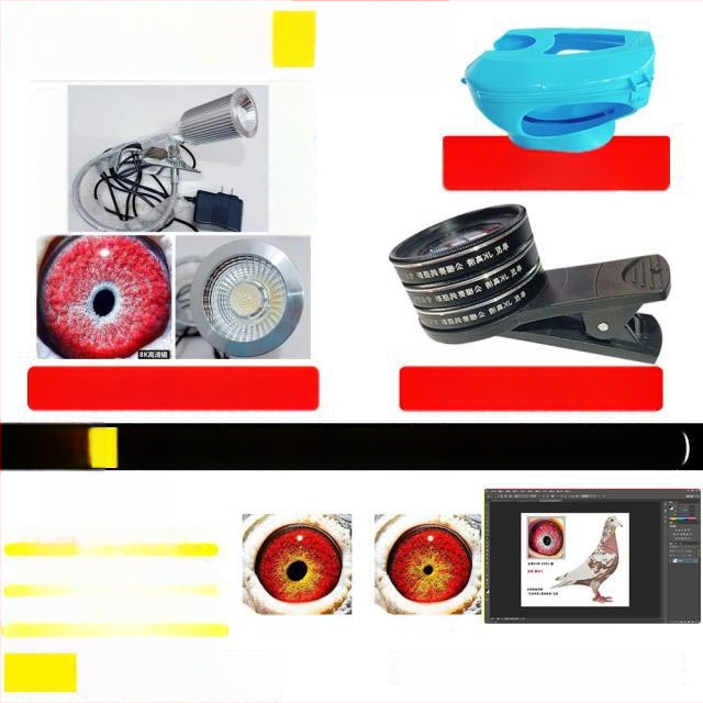 Lunetă macro pentru porumbei cu lupă pentru fotografierea ochilor păsărilor (Universal)