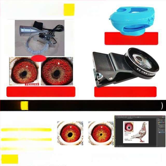 Lunetă macro pentru porumbei cu lupă pentru fotografierea ochilor păsărilor (Universal)