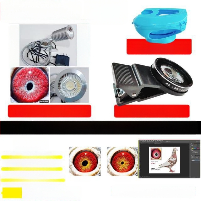 Lunetă macro pentru porumbei cu lupă pentru fotografierea ochilor păsărilor (Universal)