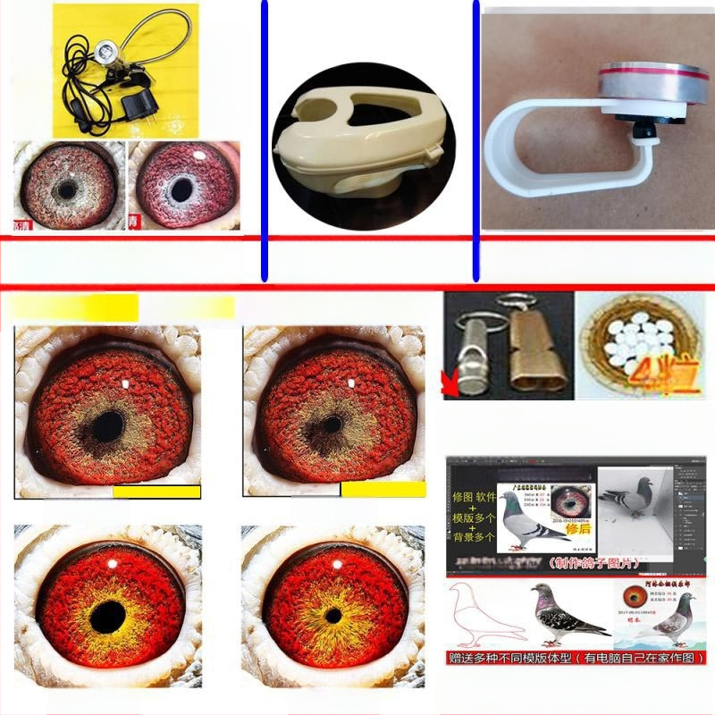 Lunetă macro pentru porumbei cu lupă pentru fotografierea ochilor păsărilor (Universal)