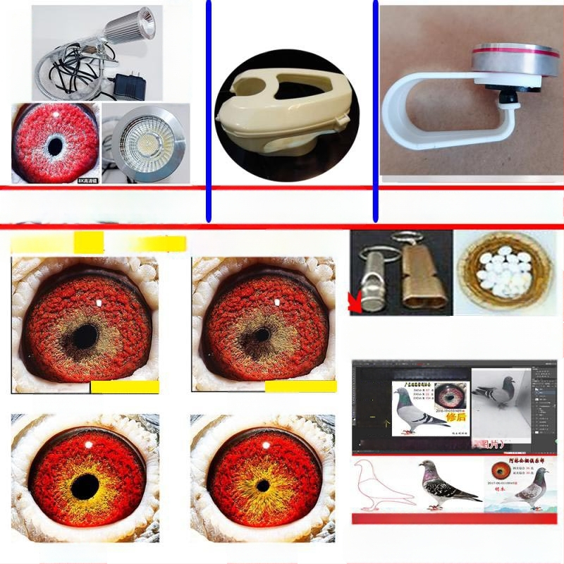Lunetă macro pentru porumbei cu lupă pentru fotografierea ochilor păsărilor (Universal)