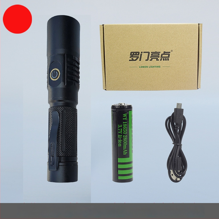 UV инспекционен фенер LED 10W, корпус от алуминиева сплав, батерия, ръчна задвижване, обхват до 50 м