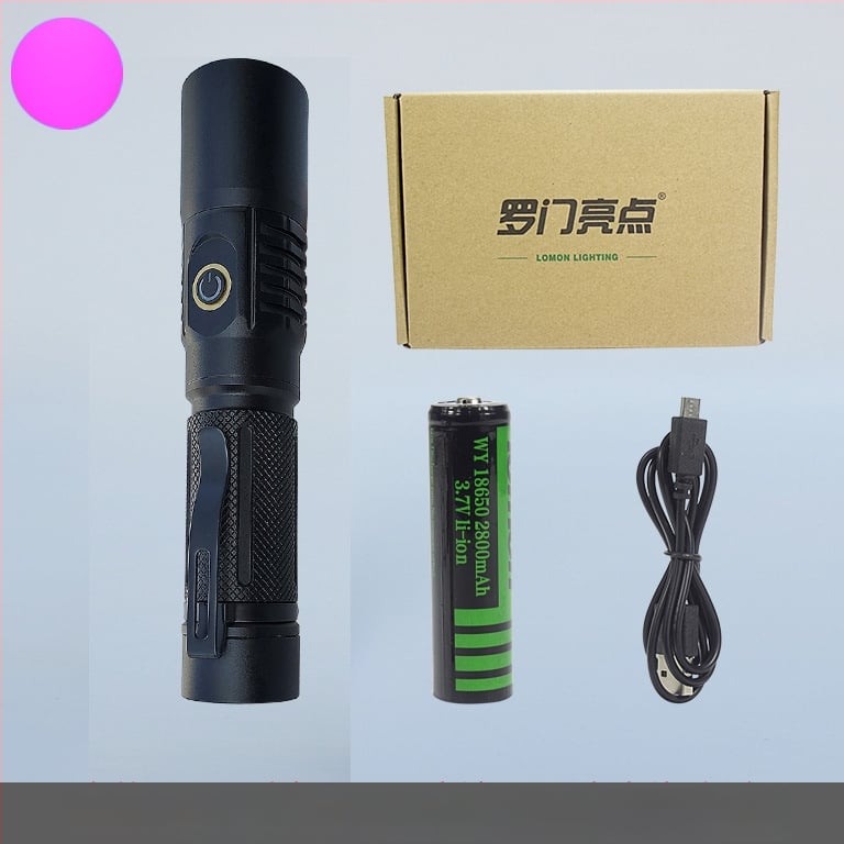 UV инспекционен фенер LED 10W, корпус от алуминиева сплав, батерия, ръчна задвижване, обхват до 50 м