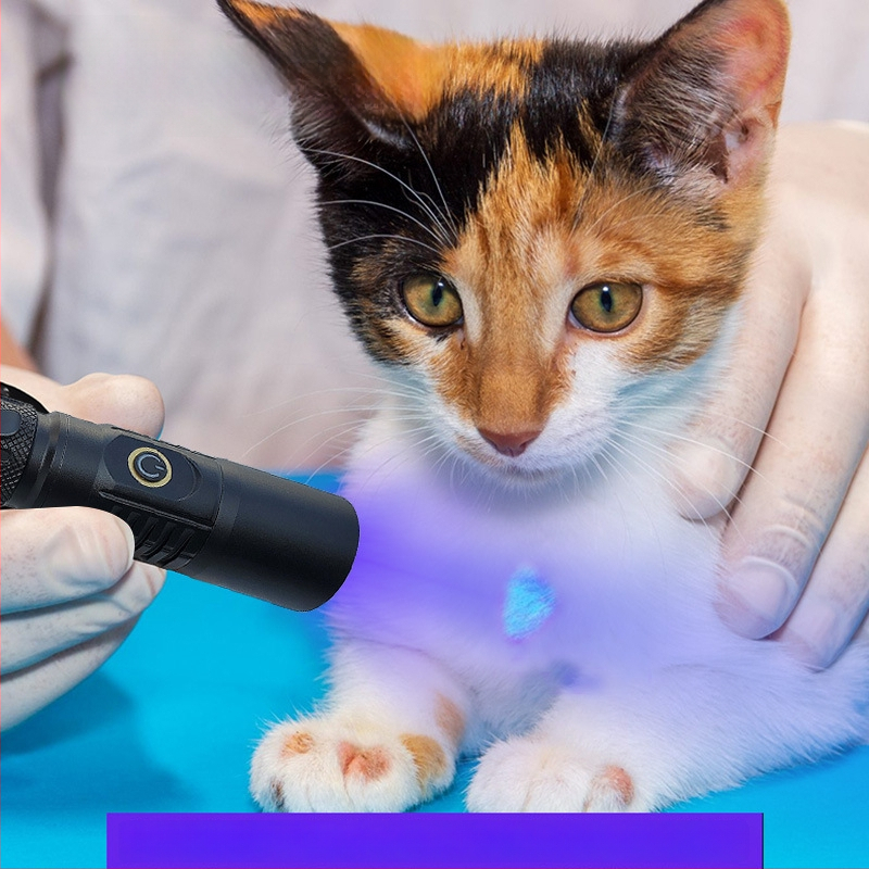 UV инспекционен фенер LED 10W, корпус от алуминиева сплав, батерия, ръчна задвижване, обхват до 50 м