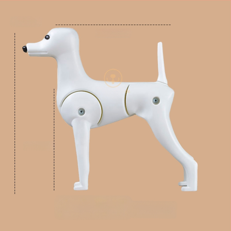 Model de câine pentru instruire cu schelet standard și blană completă; materiale: lână sintetică și plastic