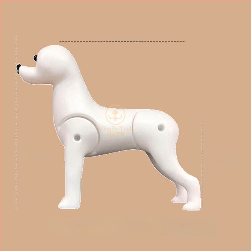 Model de câine pentru instruire cu schelet standard și blană completă; materiale: lână sintetică și plastic