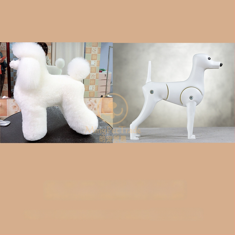 Model de câine pentru instruire cu schelet standard și blană completă; materiale: lână sintetică și plastic