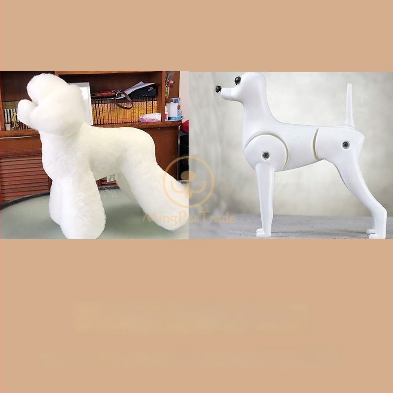 Model de câine pentru instruire cu schelet standard și blană completă; materiale: lână sintetică și plastic