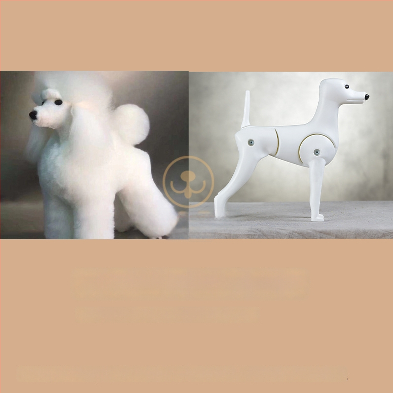 Model de câine pentru instruire cu schelet standard și blană completă; materiale: lână sintetică și plastic