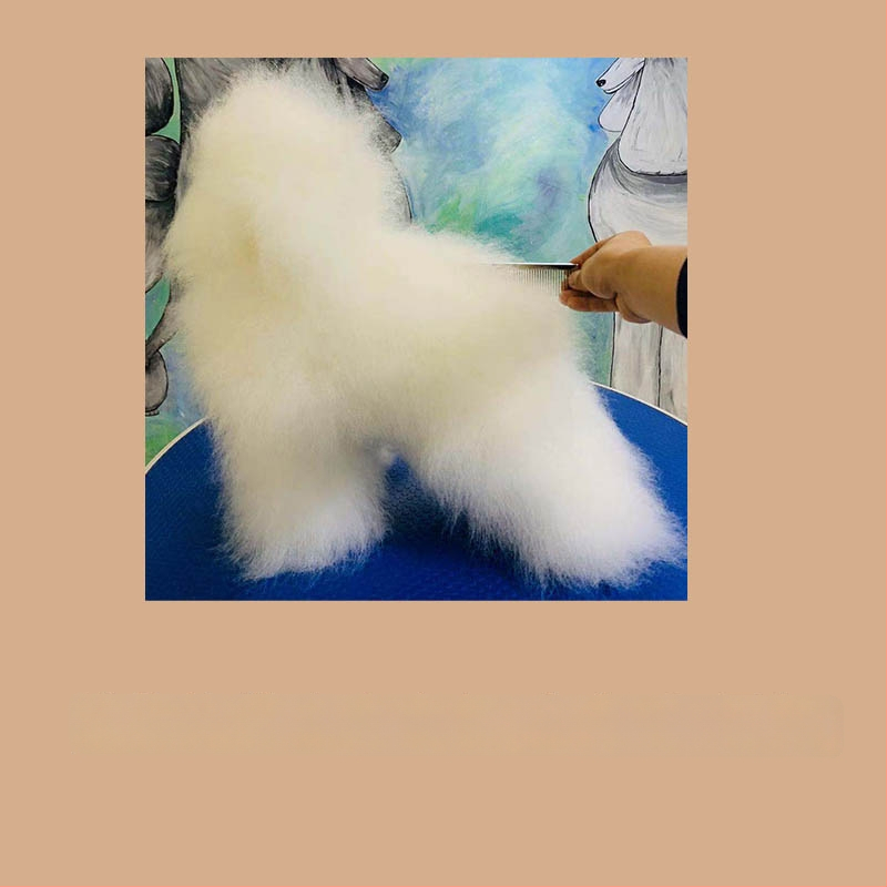 Model de câine pentru instruire cu schelet standard și blană completă; materiale: lână sintetică și plastic