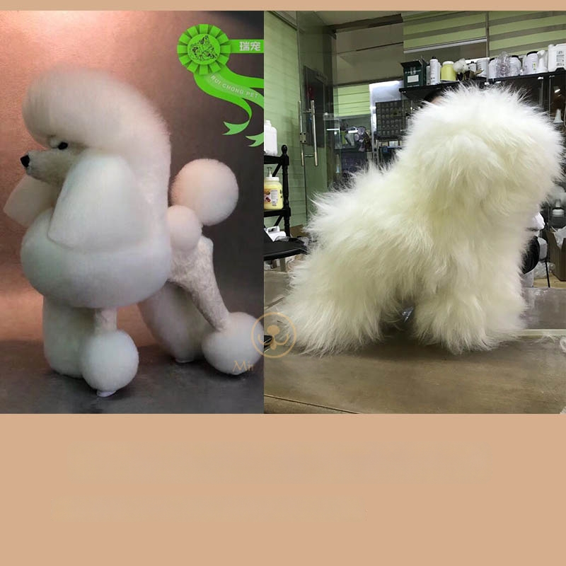 Model de câine pentru instruire cu schelet standard și blană completă; materiale: lână sintetică și plastic