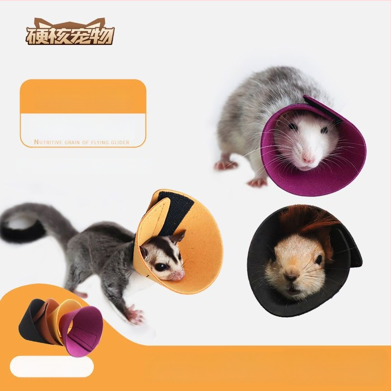 Colier Elizabeth anti-mușcături pentru animale de companie mici