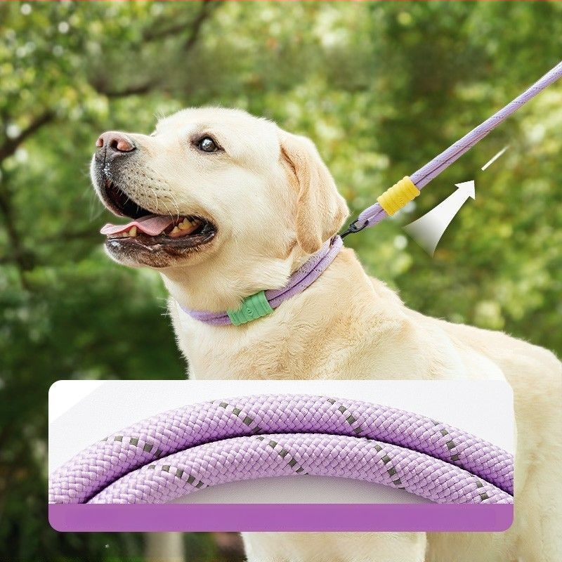 Lesă de câine retractabilă din oțel inoxidabil — Hao Mark, origine Zhejiang, lanțuri și funii pentru animale de companie