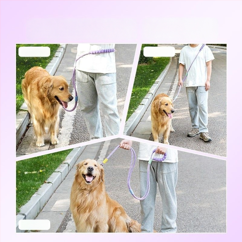 Lesă de câine retractabilă din oțel inoxidabil — Hao Mark, origine Zhejiang, lanțuri și funii pentru animale de companie