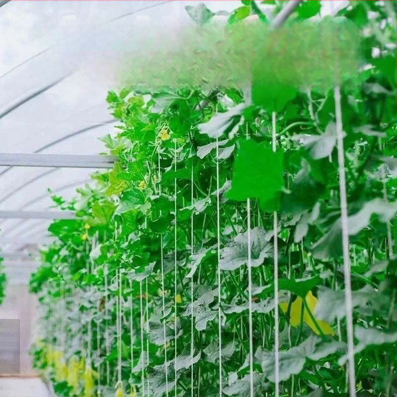 Audiniai tempimo dirzai su sagtimis – atsparūs oro sąlygoms, namų naudojimui, pritvirtinimui prie vaismedžių šakų ar daiktų (Maksimali apkrova 50 kg; Darbinė temperatūra 110; Standartas: grynas audinys; Prekės ženklas: Zhi chen)