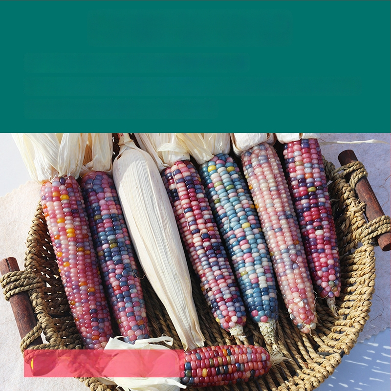 Ornament minimalist cu temă porumb | confecție semi-manuală și semi-mechanică | potrivit ca cadou publicitar sau cadou de afaceri | fără drepturi de proprietate intelectuală