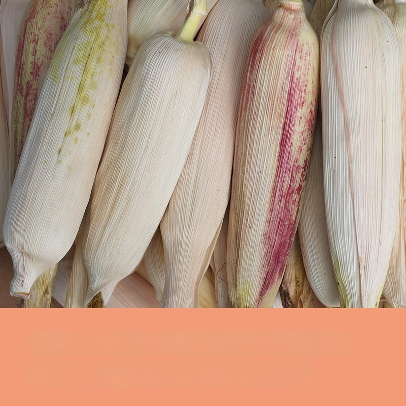 Ornament minimalist cu temă porumb | confecție semi-manuală și semi-mechanică | potrivit ca cadou publicitar sau cadou de afaceri | fără drepturi de proprietate intelectuală