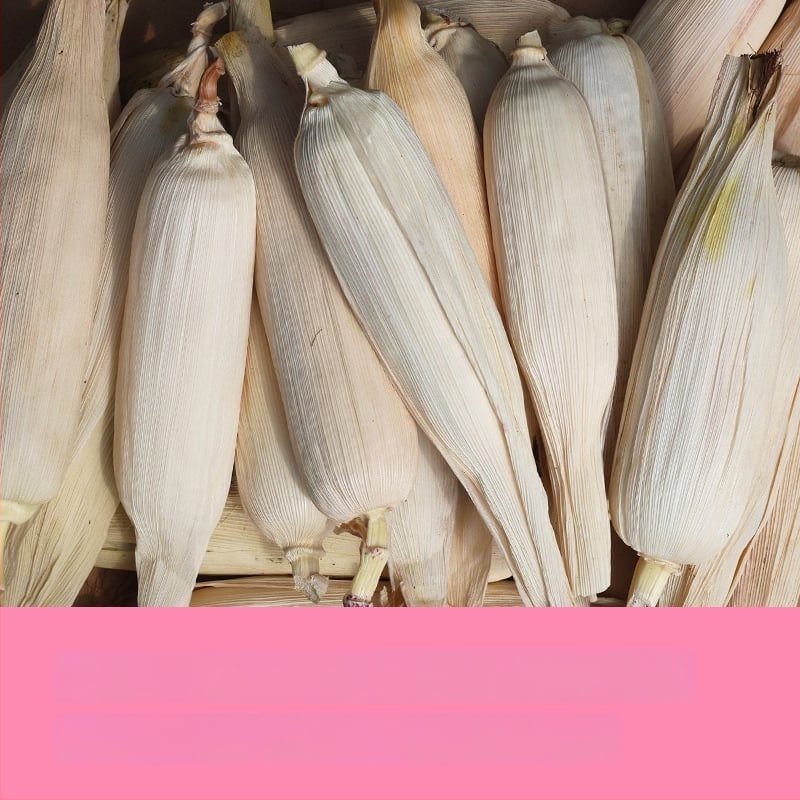 Ornament minimalist cu temă porumb | confecție semi-manuală și semi-mechanică | potrivit ca cadou publicitar sau cadou de afaceri | fără drepturi de proprietate intelectuală