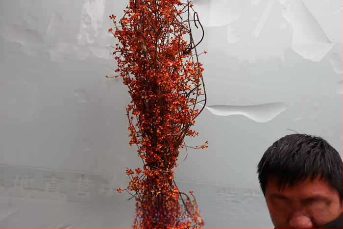 Ramuri pentru aranjamente în coșuri de flori, cu textură de vene uscate ale frunzelor, necolorate, neimportate