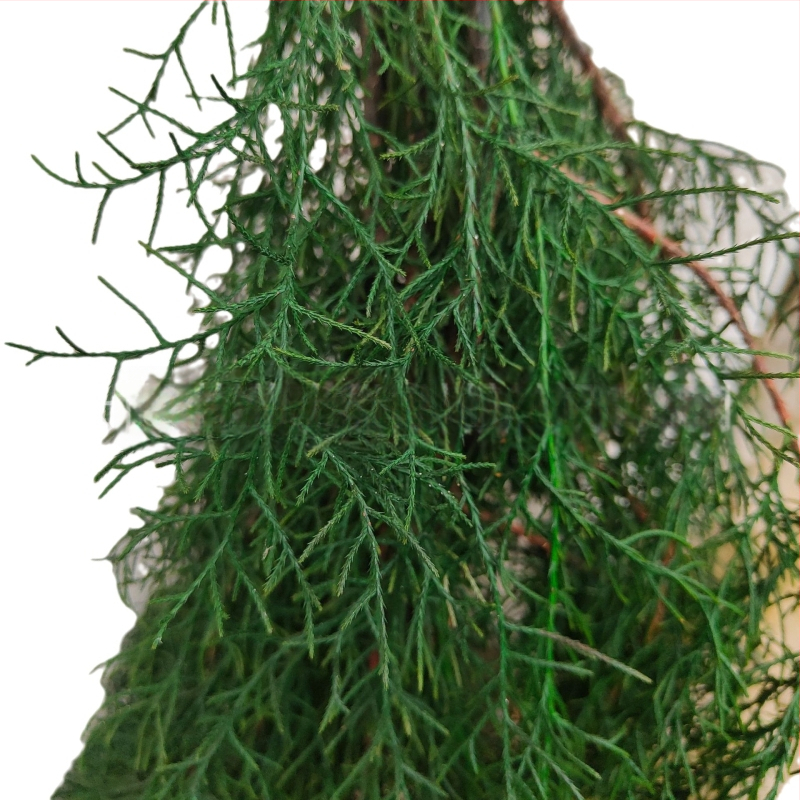 Ágak - fenyő ciprus, festett, Qiyang márka, dekoratív falak