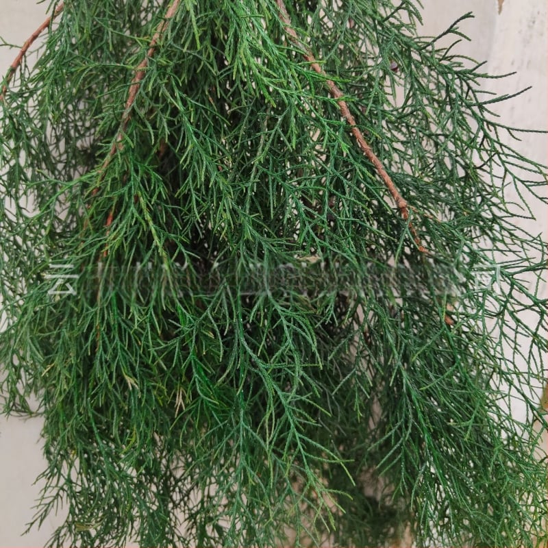 Ágak - fenyő ciprus, festett, Qiyang márka, dekoratív falak