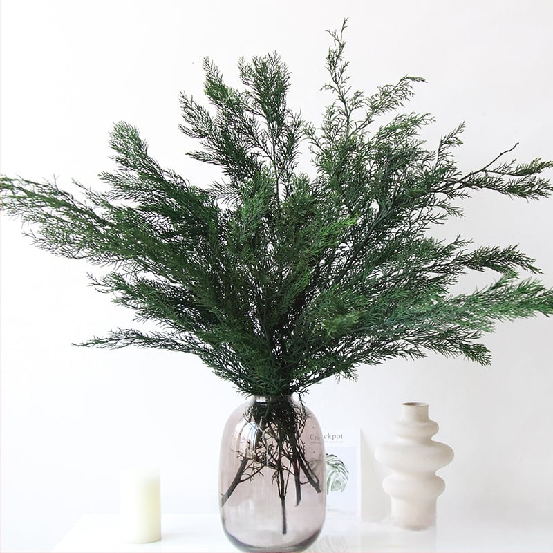 Ramuri veșnic verzi de pin și chiparos – material de decor pentru bradul de Crăciun, flori uscate pentru aranjamente DIY, ghirlande și accesorii pentru bonsai | Brand: Dreamer quality dried flowers | Ambalare: pungă de bumbac cu cutie specială