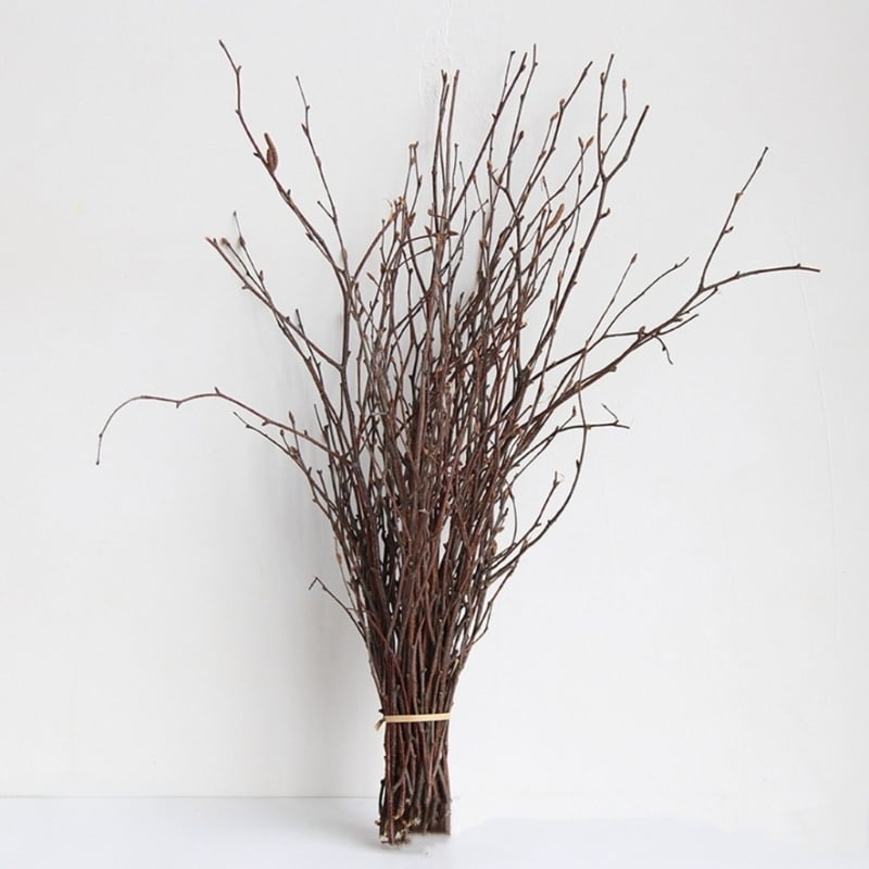 Ramuri uscate naturale pentru decor interior și recuzită fotografică – Dreamer