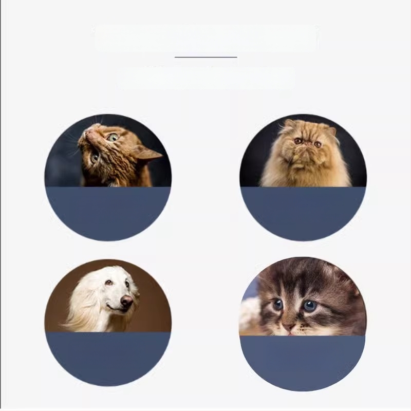 Guazhou mu μαντηλάκια καθαρισμού ματιών για γάτες και σκύλους, αφαίρεση δακρύων, 120 τεμάχια