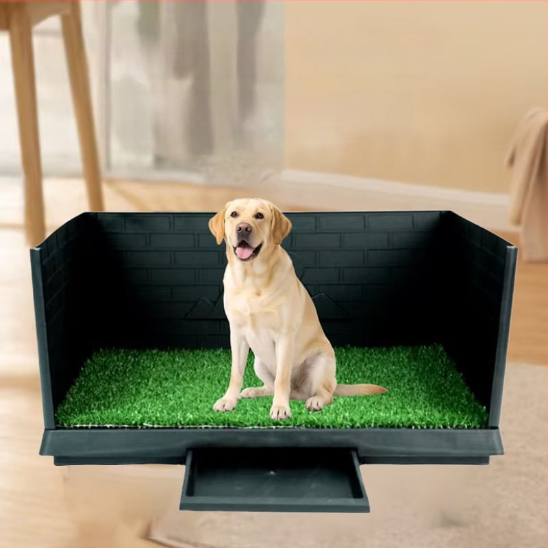 Šunų tualetas su barjeru, dirbtinė žolė šlapinimuisi, treniruotė fiksuoto defekacijos taško, tinkamas vidutinio ir didelio dydžio šunims