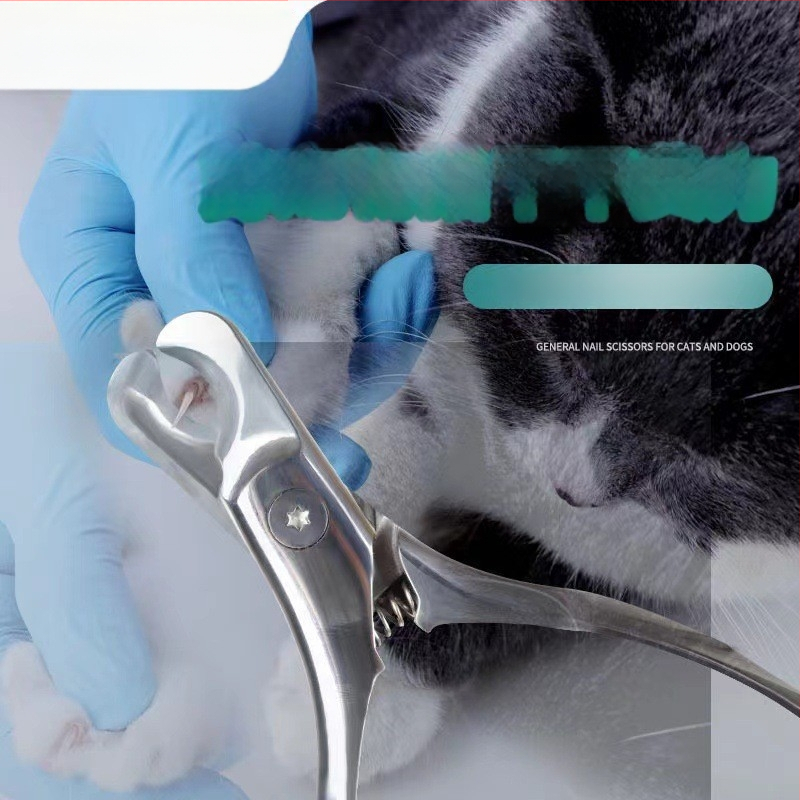 Clește pentru unghii de animale de companie – oțel inoxidabil, construcție dintr-o singură piesă, Xianglong kit portabil pentru casă, origine Guangdong