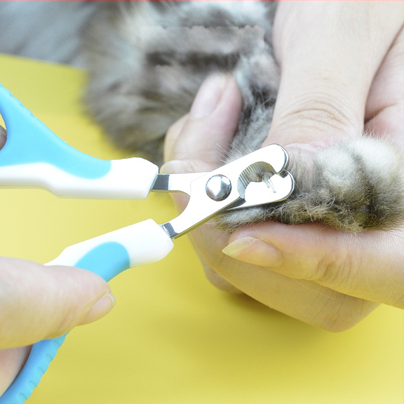 Katės nagų žirklės su neslystančia rankena, 45° kampinis dizainas ir nagų valymas