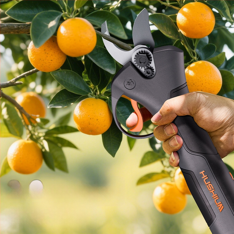 Електрически ножици за подстригване, безчетков мотор, вградена литиева батерия, зареждане Type-C, за плодови дървета и дебели клони