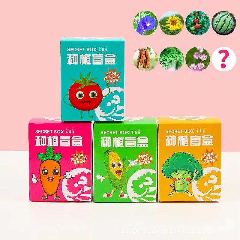 Kit DIY pentru plante de birou pentru copii — semințe de plante în ghivece, componente din plastic, Idol, stil proaspăt, ambalaj într-o cutie de carton