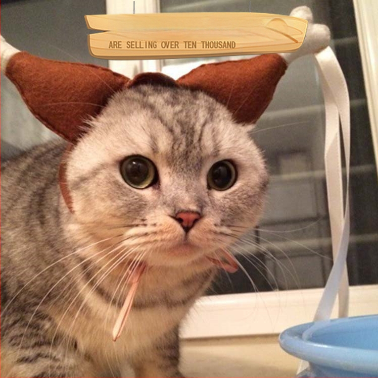 Căpăcel de cap pentru animale de companie în formă de laba de pui - țesătură nețesută, potrivire universală, recuzită amuzantă pentru nunți