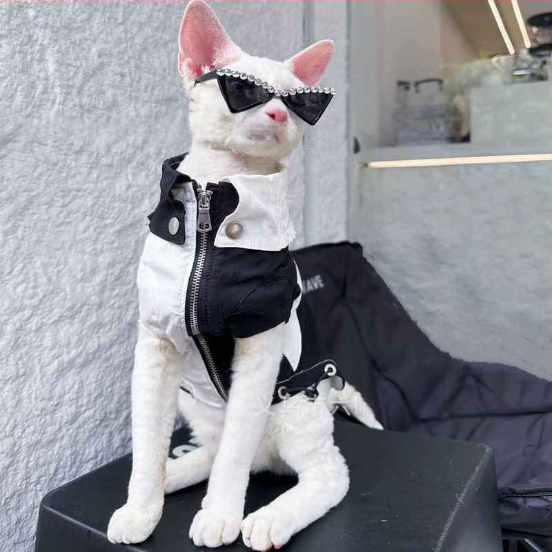 Ochelari pentru animale de companie, cu cristale în stil pisică, hip-hop, din plastic