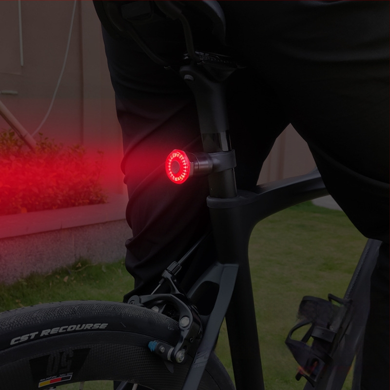 Dviračio galinė žibintas su išmaniuoju jutikliu stabdymui, USB įkrovimu, atsparus vandeniui, PC korpusas, tinkamas kelių ir kalnų dviračiams