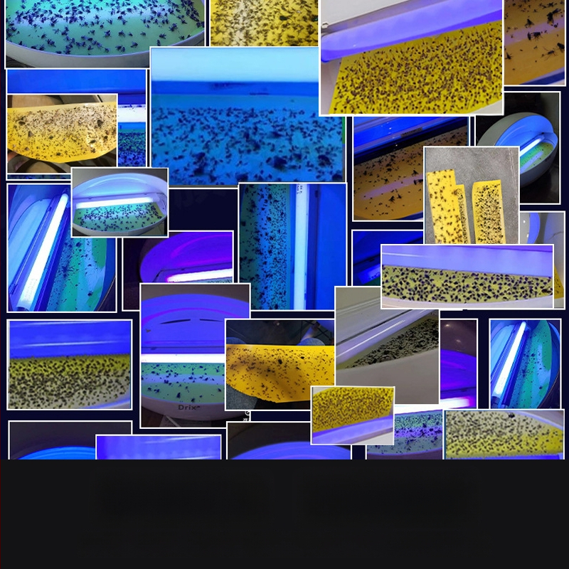 8W леплив инсект ловец за стена, опционално единична/двойна тръба, CE сертифициран, за хотели, ресторанти и супермаркети