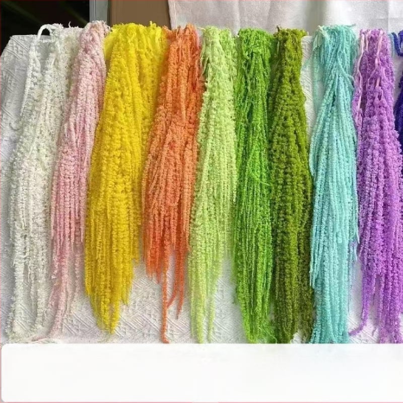 Buchet de flori uscate și conservate pentru decorul de perete la nuntă și fundal pentru fotografii — Flowers are sweet