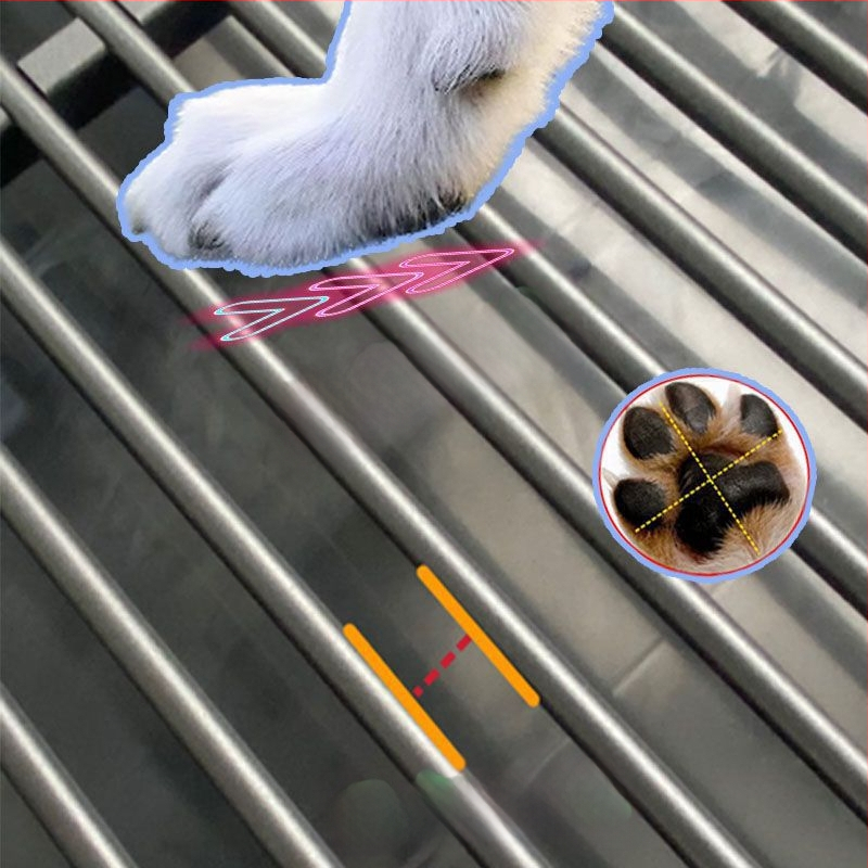 Toaletă pentru câini, tip sertar, din plastic, marcă Other, fără import, pentru piața internă