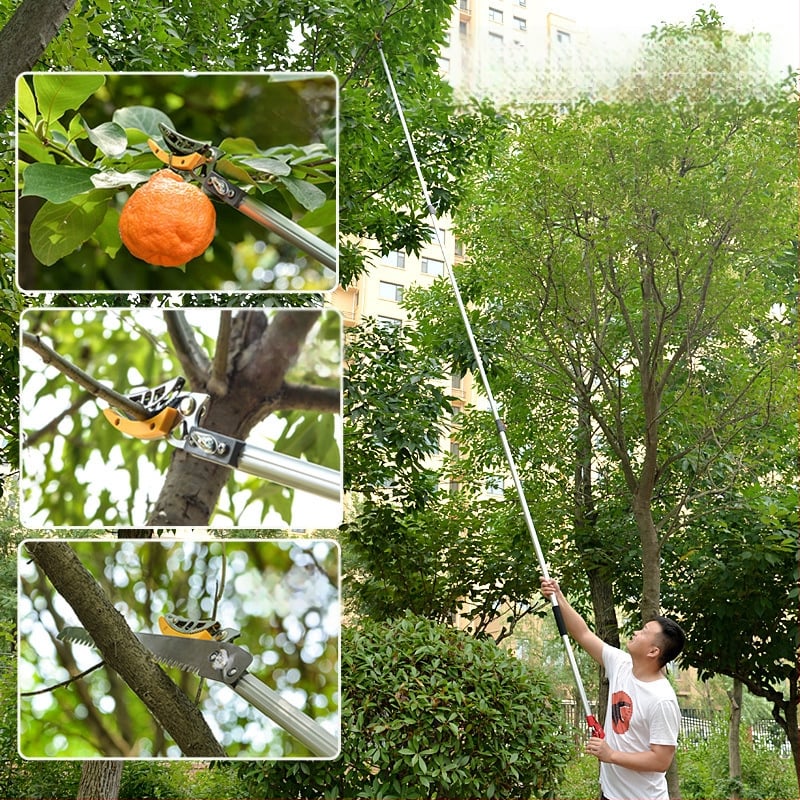 Телескопични ножици за плодове с удължен обхват за високи клони; MYTEC; подходящи за lychee, loquat и longan